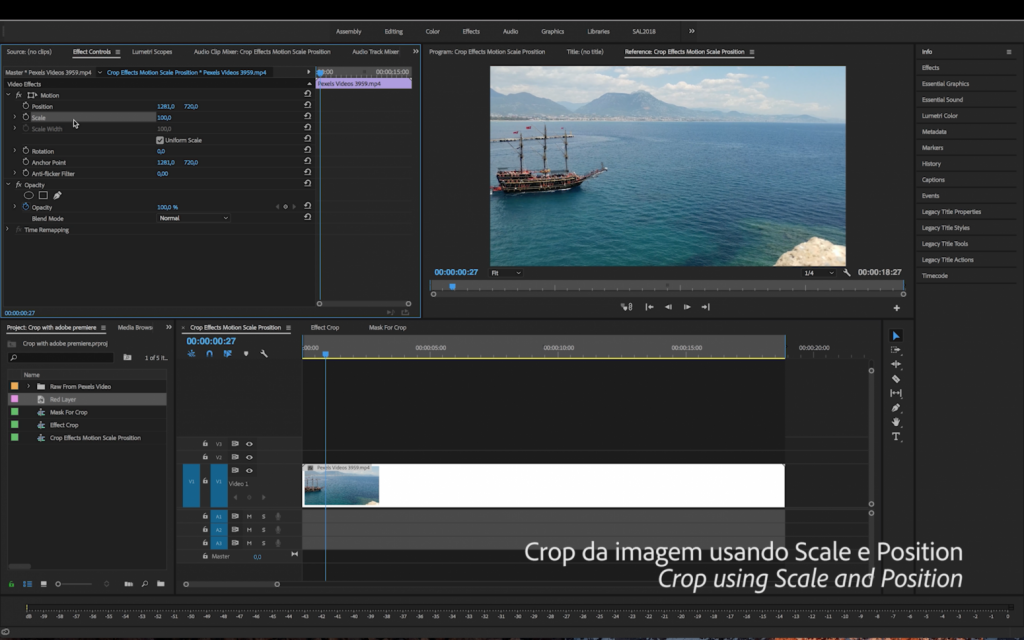 Como Fazer um Crop no Adobe Premiere Pro | Tutorial Adobe Premiere Pro | SCALE POSITION