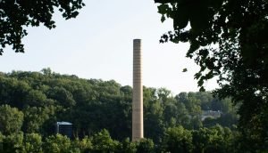 green trees under white sky during daytime