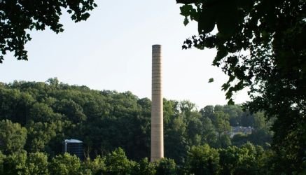 green trees under white sky during daytime